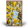 Depth Perception