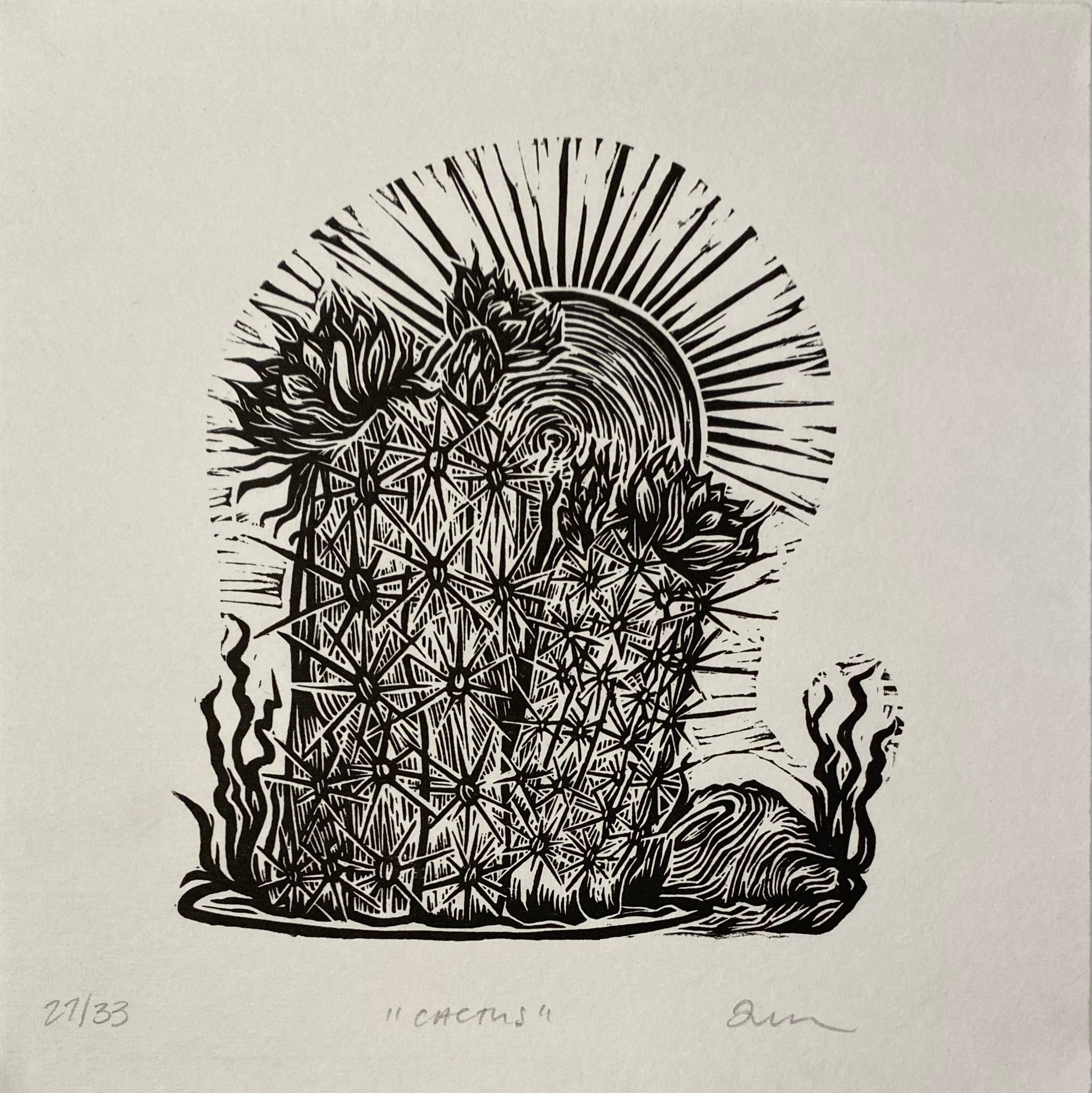 Cactus 27/33