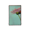 Cherish - Retired