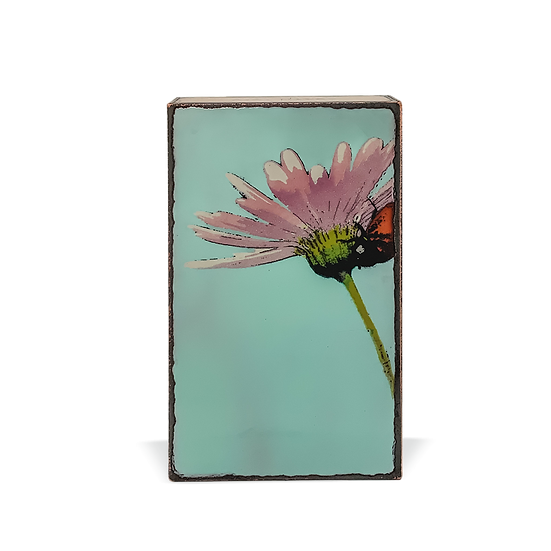 Cherish - Retired