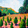 From the Back Mountain Tree Farm