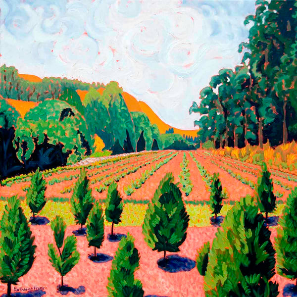 From the Back Mountain Tree Farm