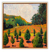 From the Back Mountain Tree Farm