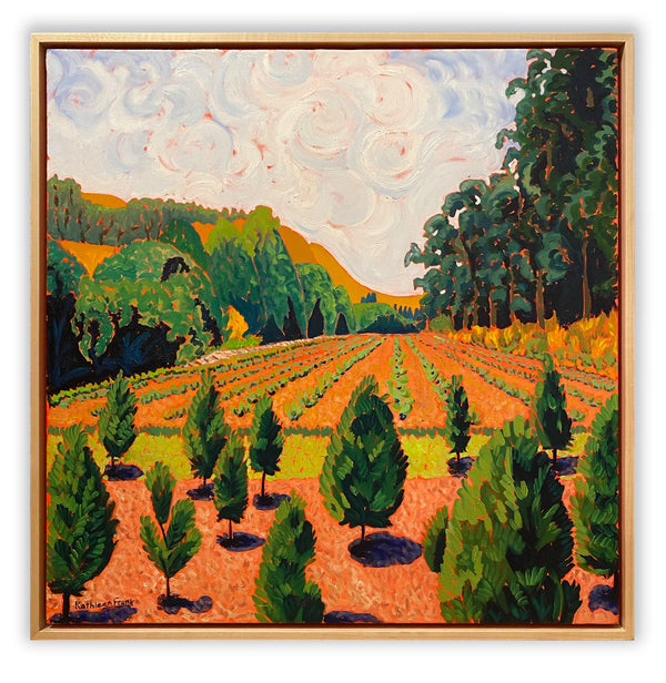 From the Back Mountain Tree Farm