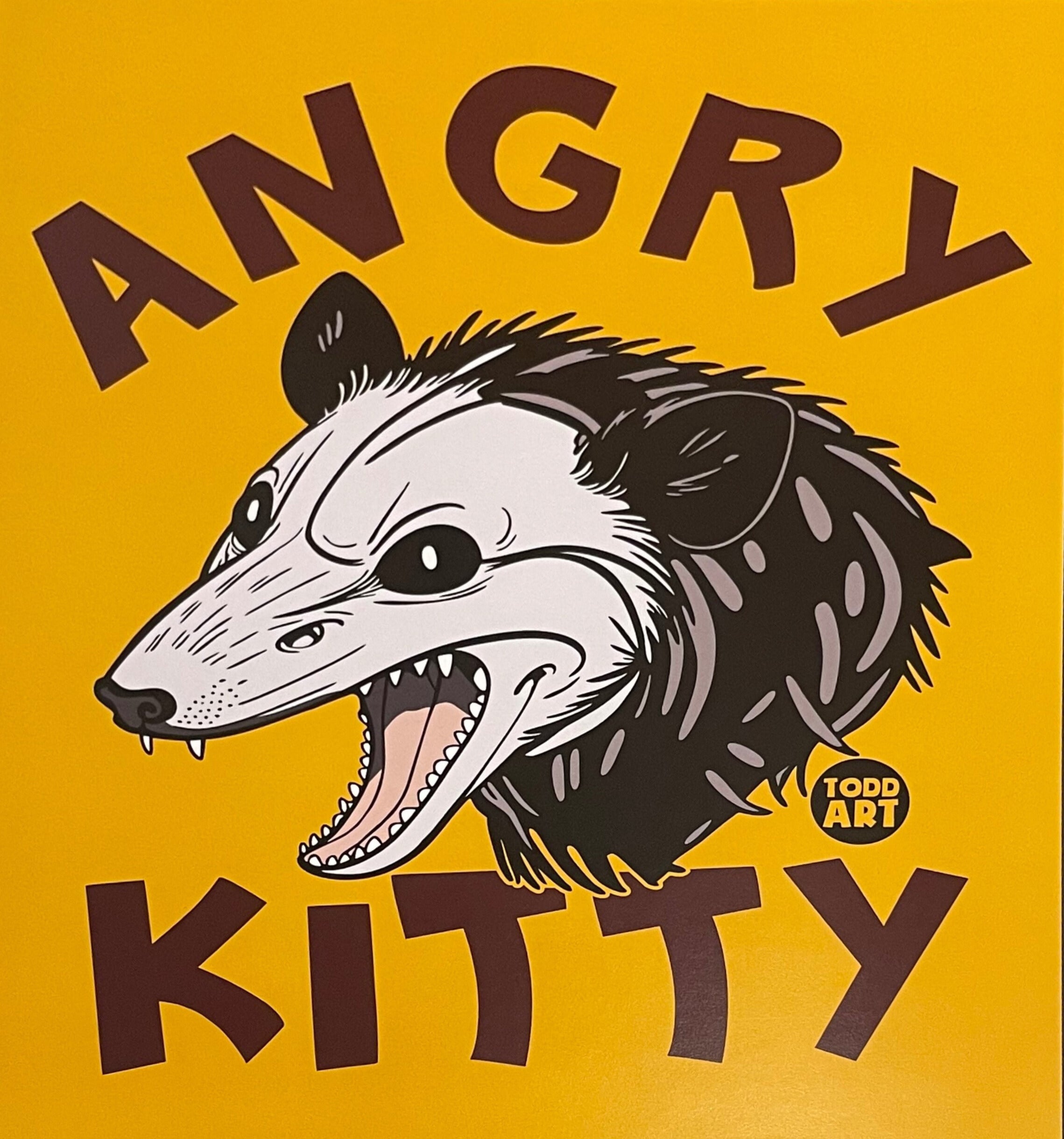 ANGRY KITTY!