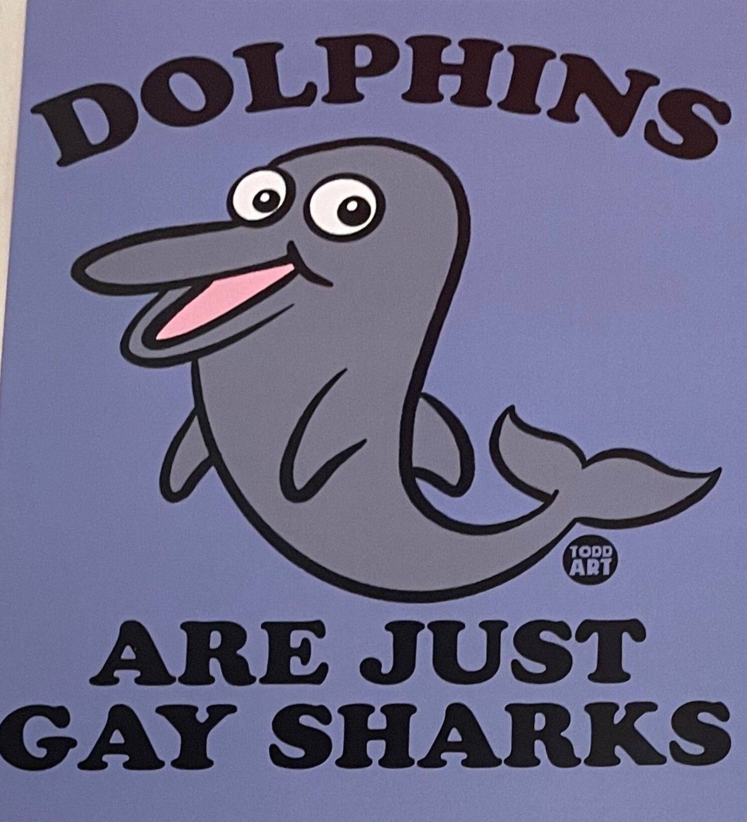 Dolphins Are Just Gay Sharks