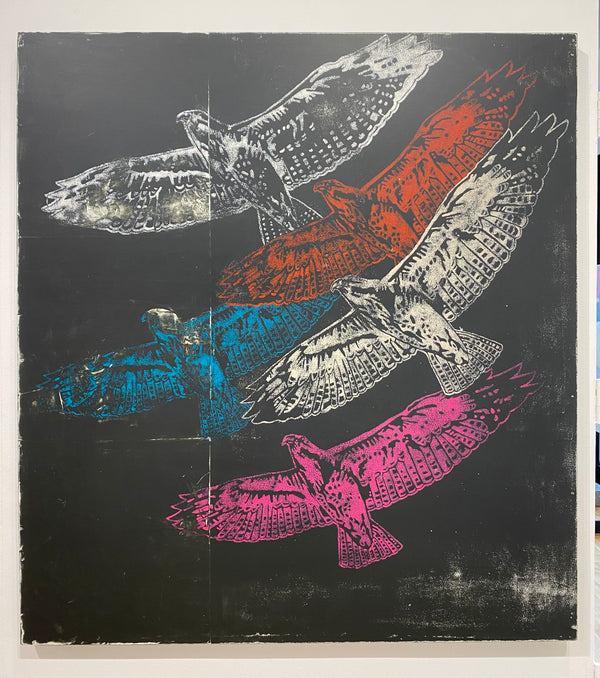 Fifth Dimensional Space Hawks