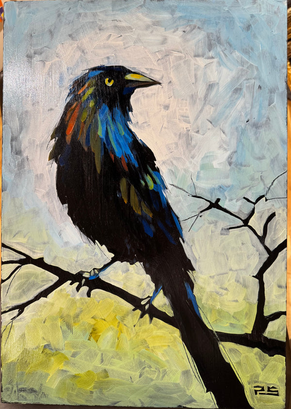 Radiant Blackbird