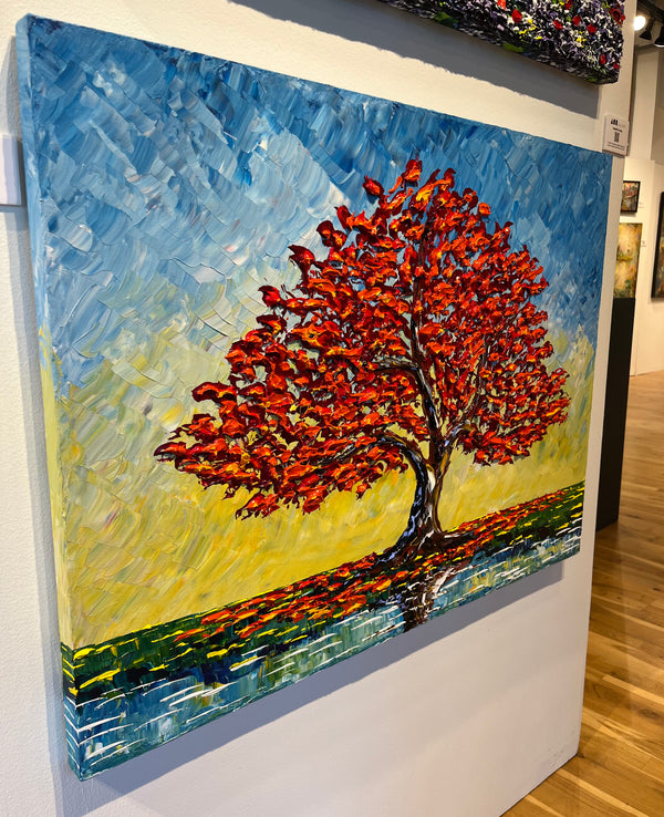 Red Maple of the Sun