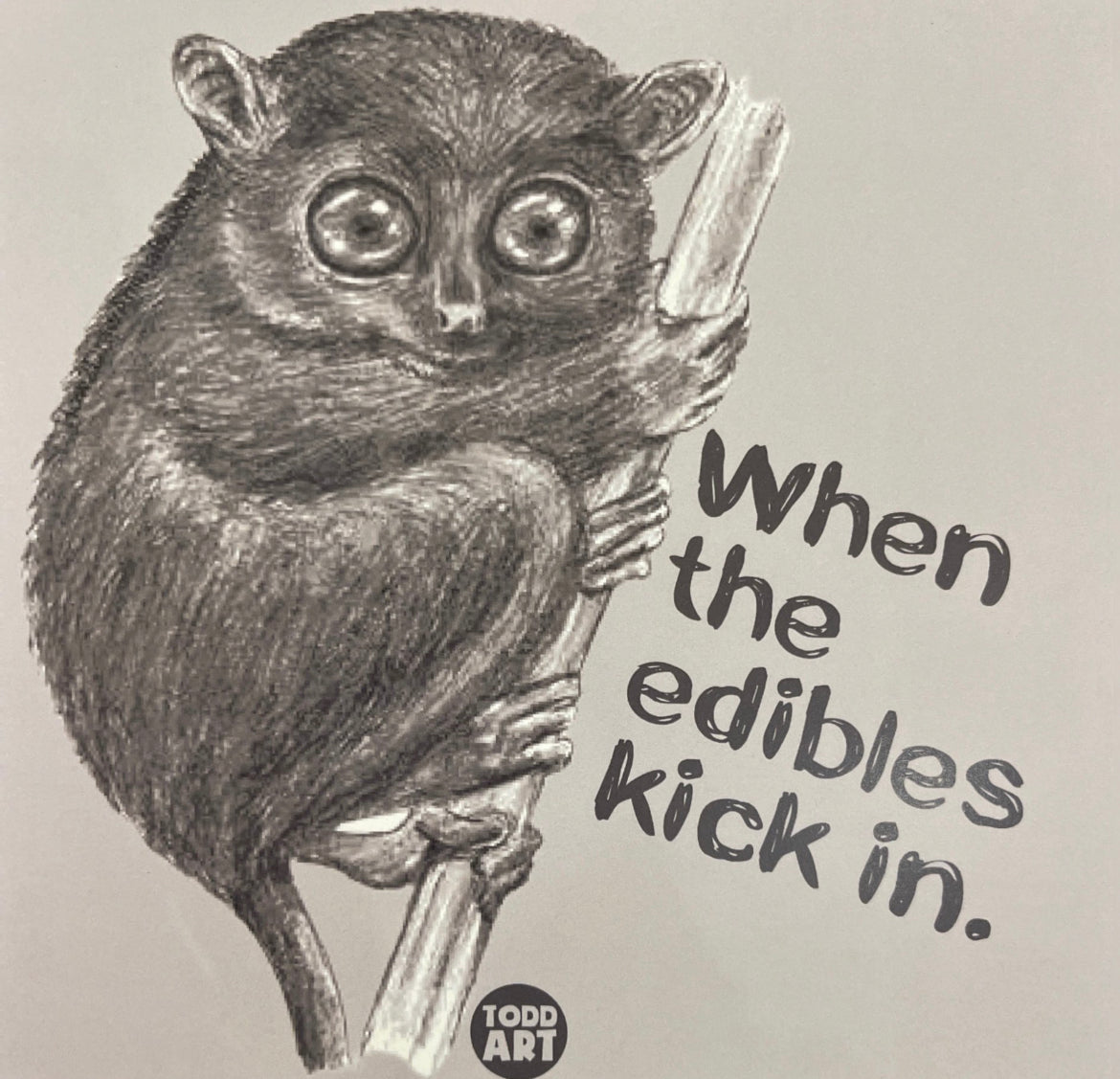 When the Edibles Kick in