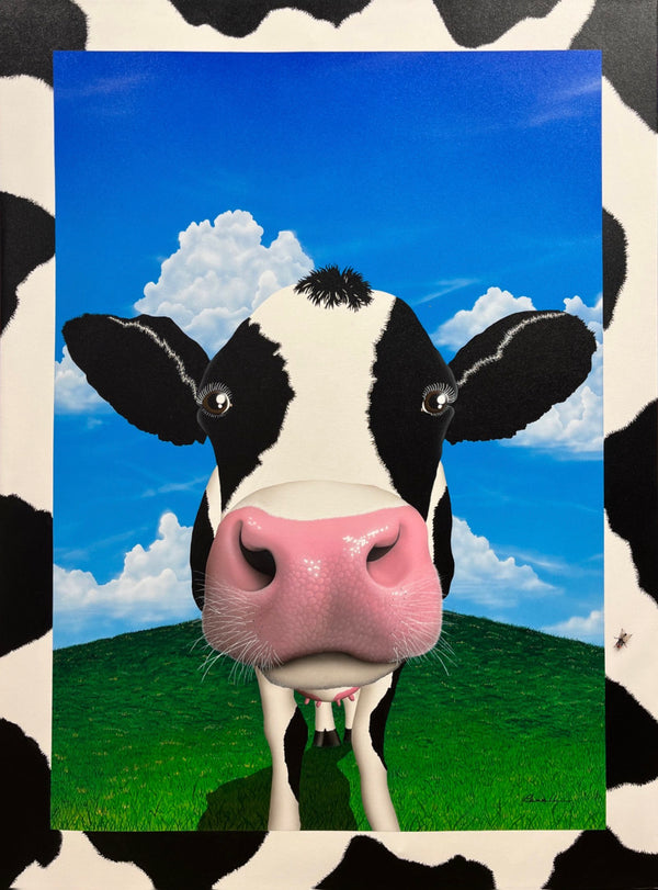 Feet in a Cowpie - Head in the Clouds