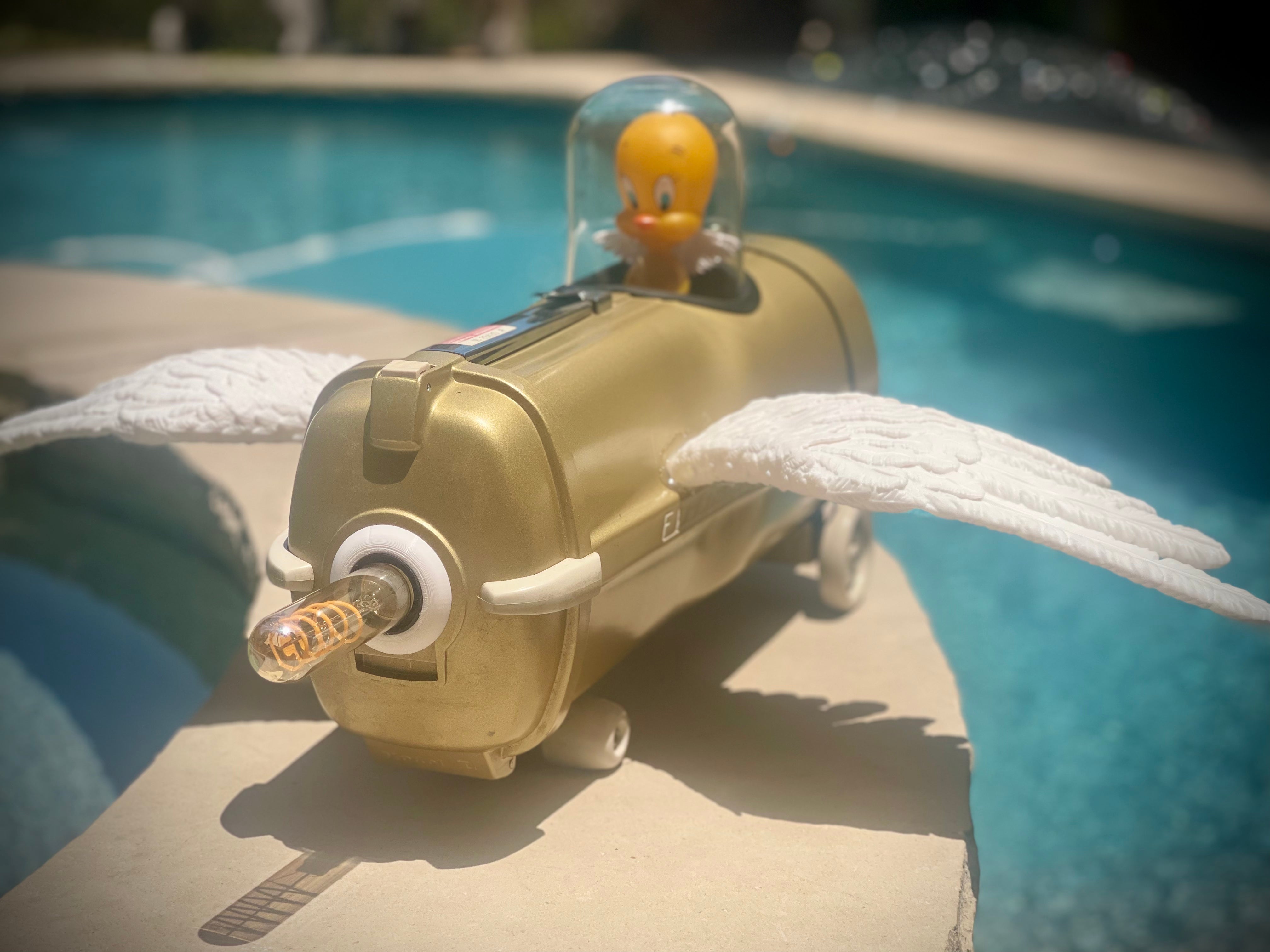 Tweety Bird