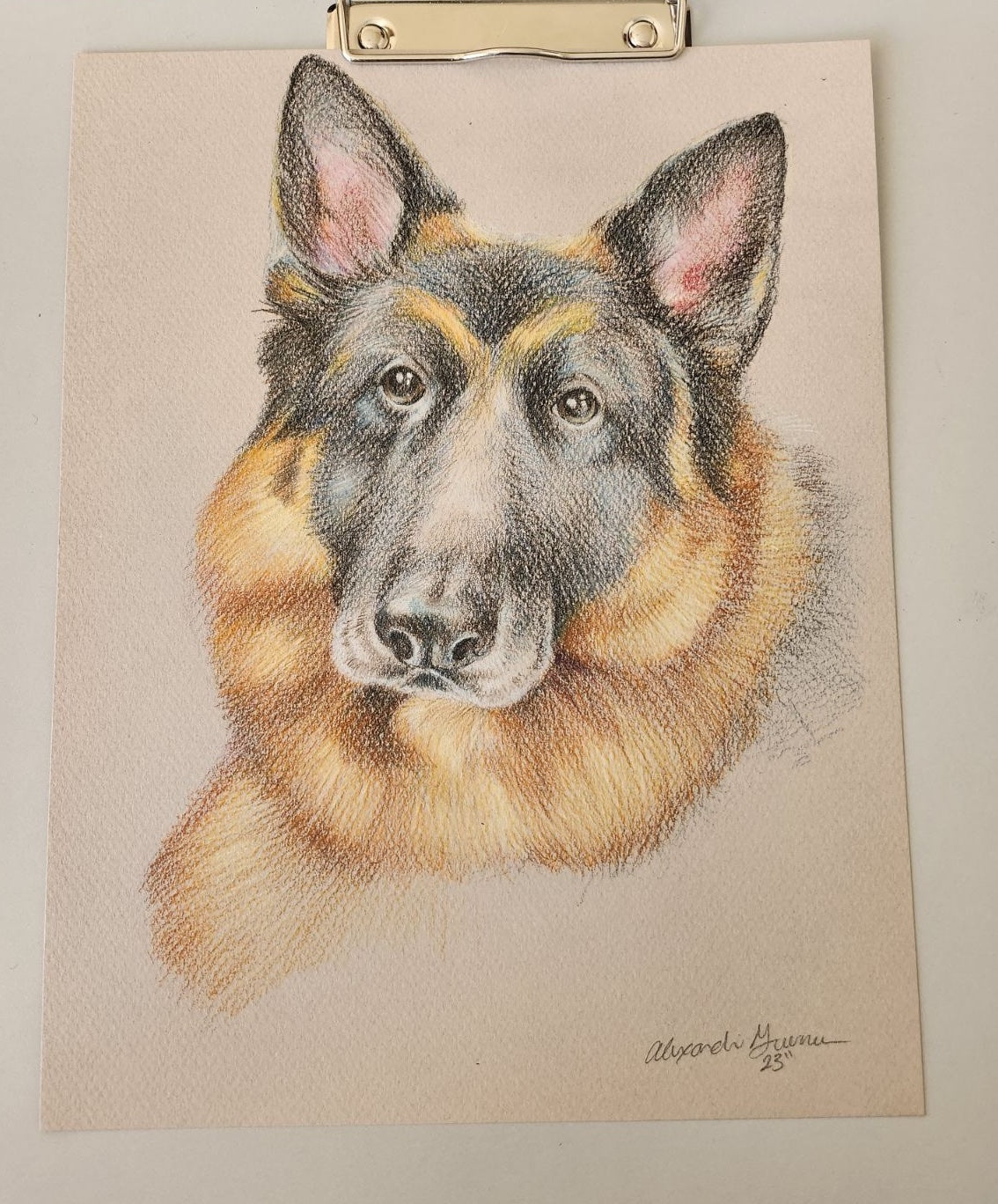 Pet Portrait Commission