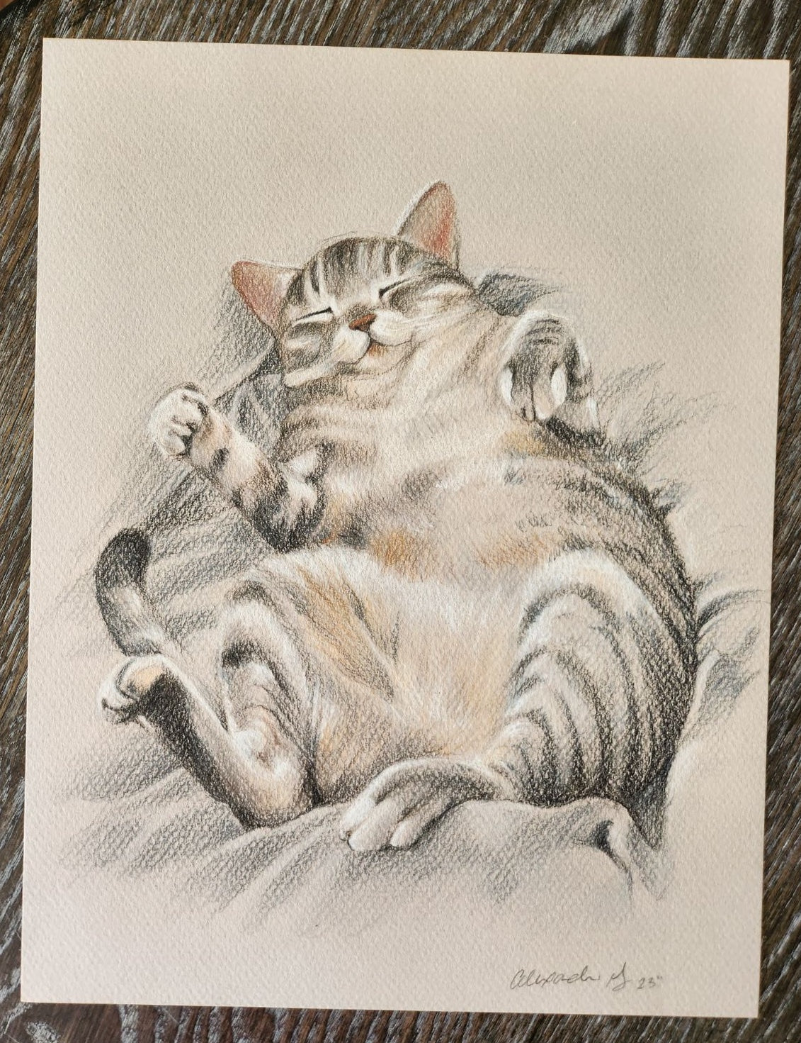Pet Portrait Commission