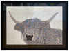 Alfred - Highland Cow