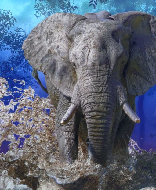 Elephant Walk - Medium