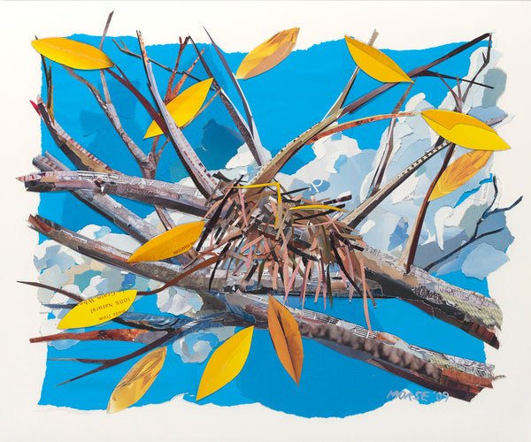 Four Seasons - Nests