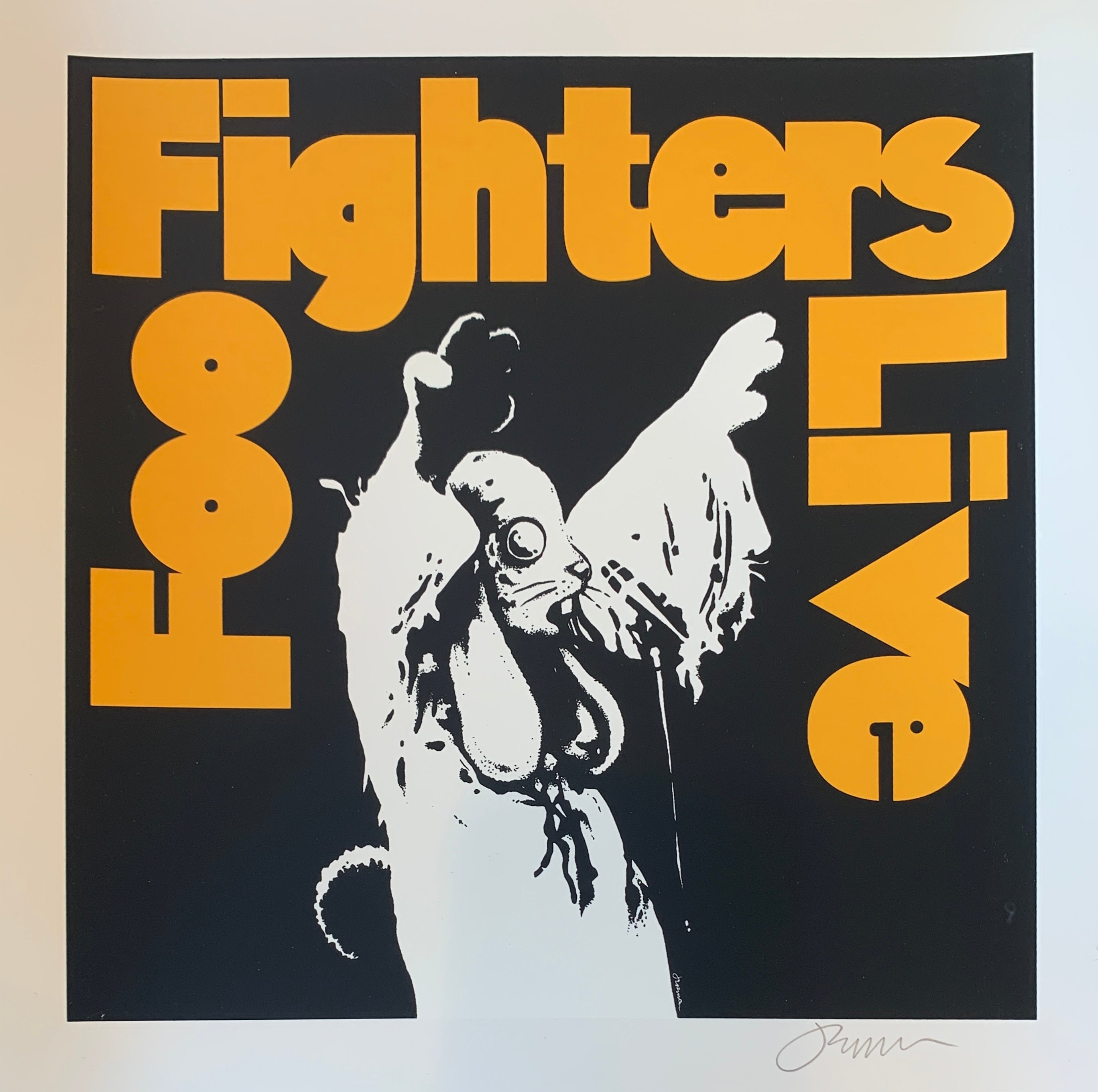 Foo Fighters - LIVE - Cream