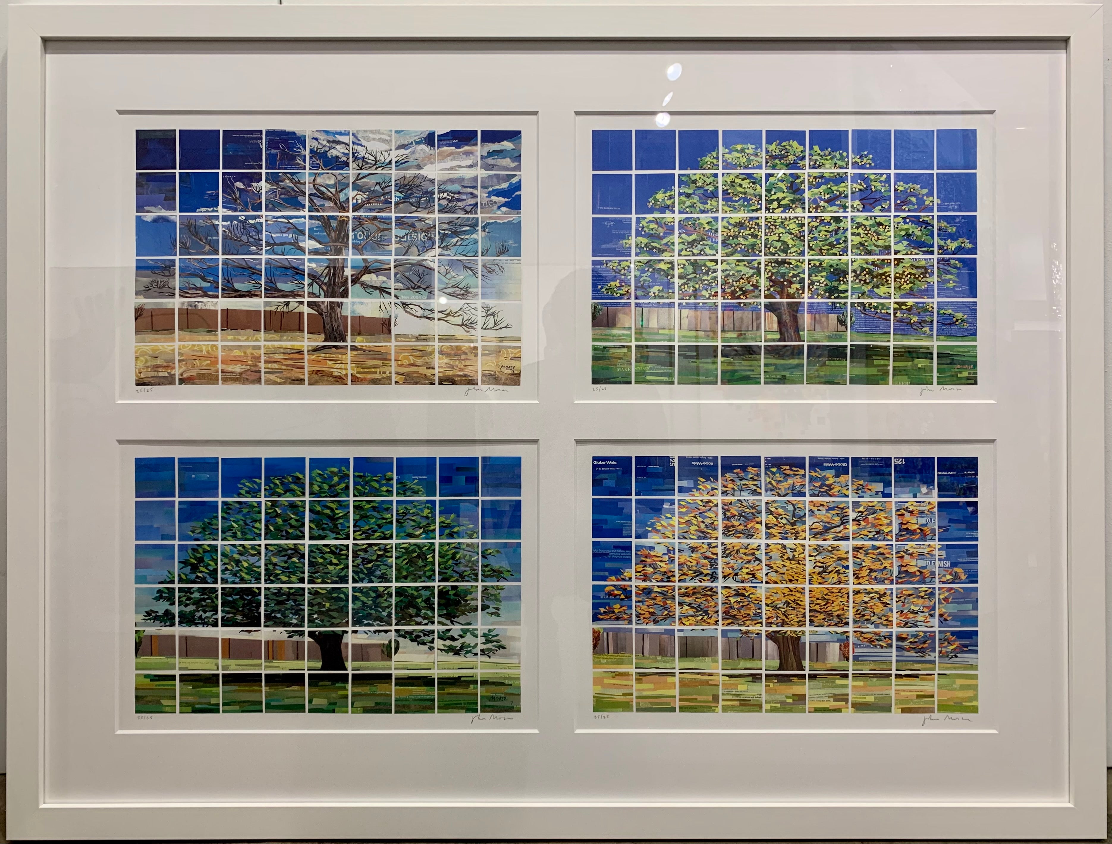 Four Seasons - Jimmy Carter Library Tree