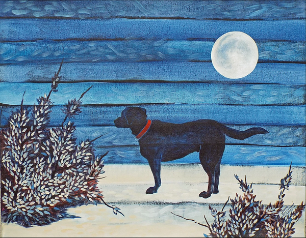 Full Moon Over Labrador