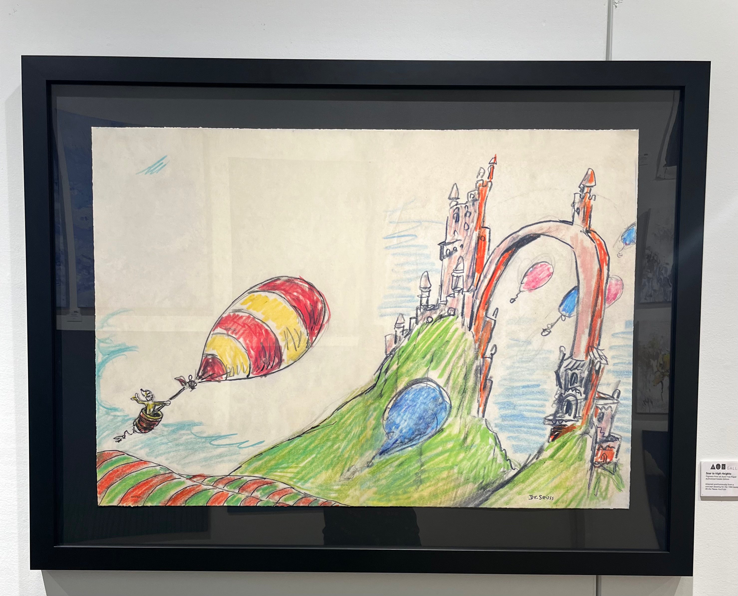 Soar To High Heights 667/850 - FRAMED