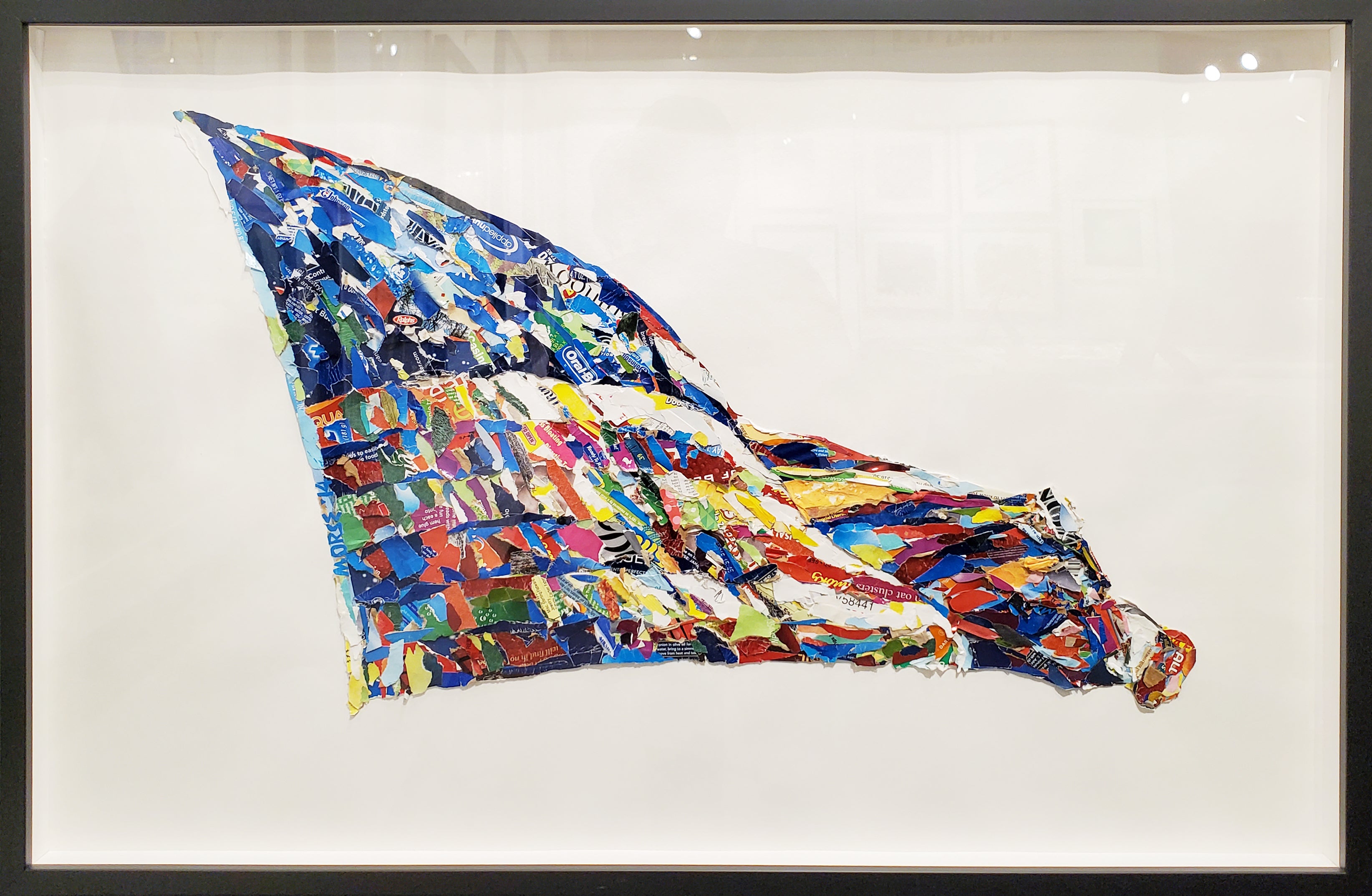 Untitled (de Kooning Flag)