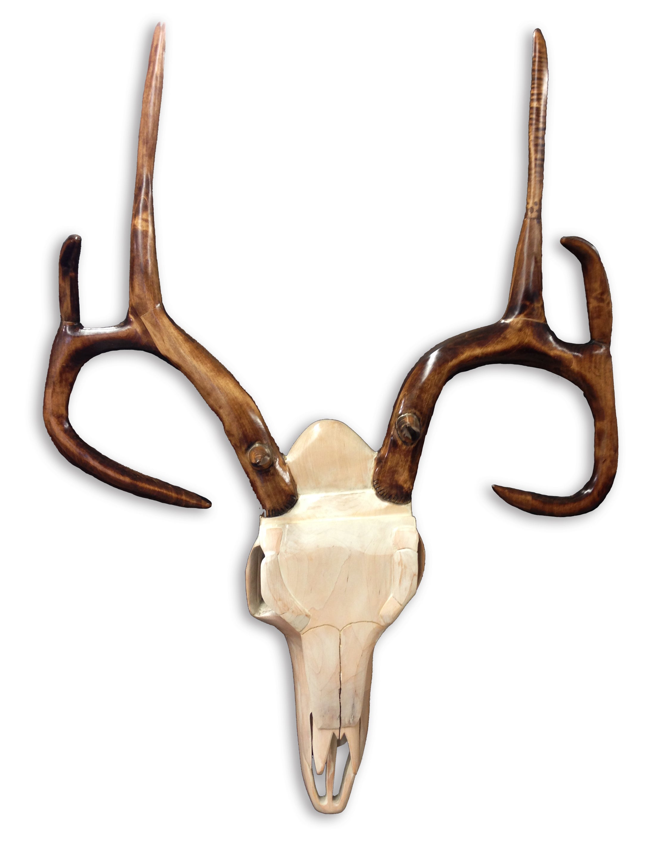 O'Keeffe Deer Skull