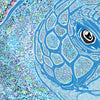 Graham Atwell (aka Atty) digital artwork of a sea turtle