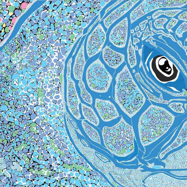 Graham Atwell (aka Atty) digital artwork of a sea turtle