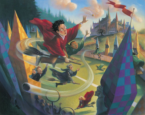 Quidditch Deluxe