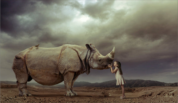 Rhino Kiss