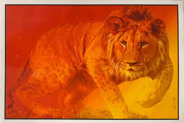 Serengeti Sunset - Lion Walk