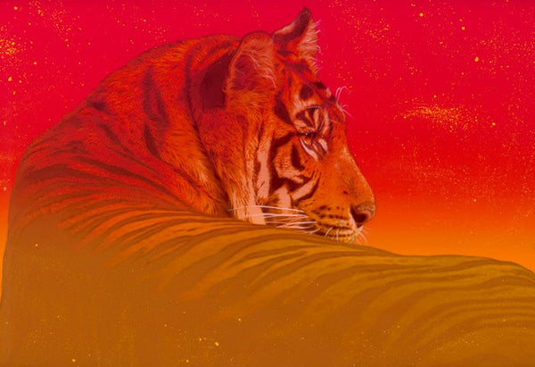 Serengeti Sunset - Tiger