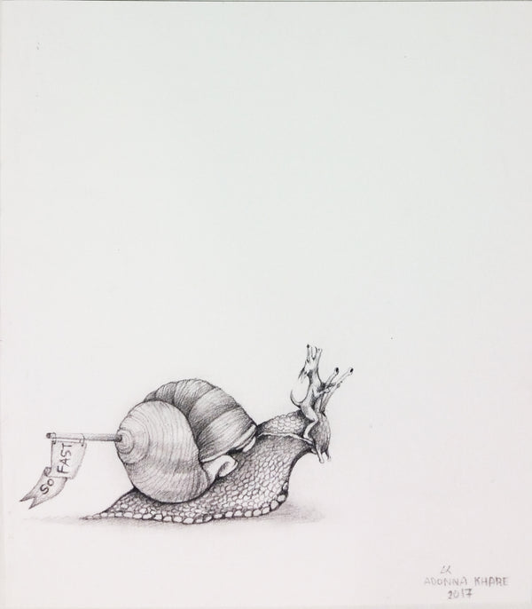 Snail Race