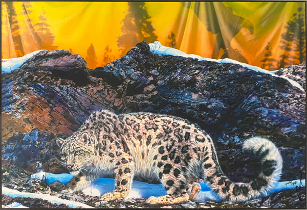Snow Leopard