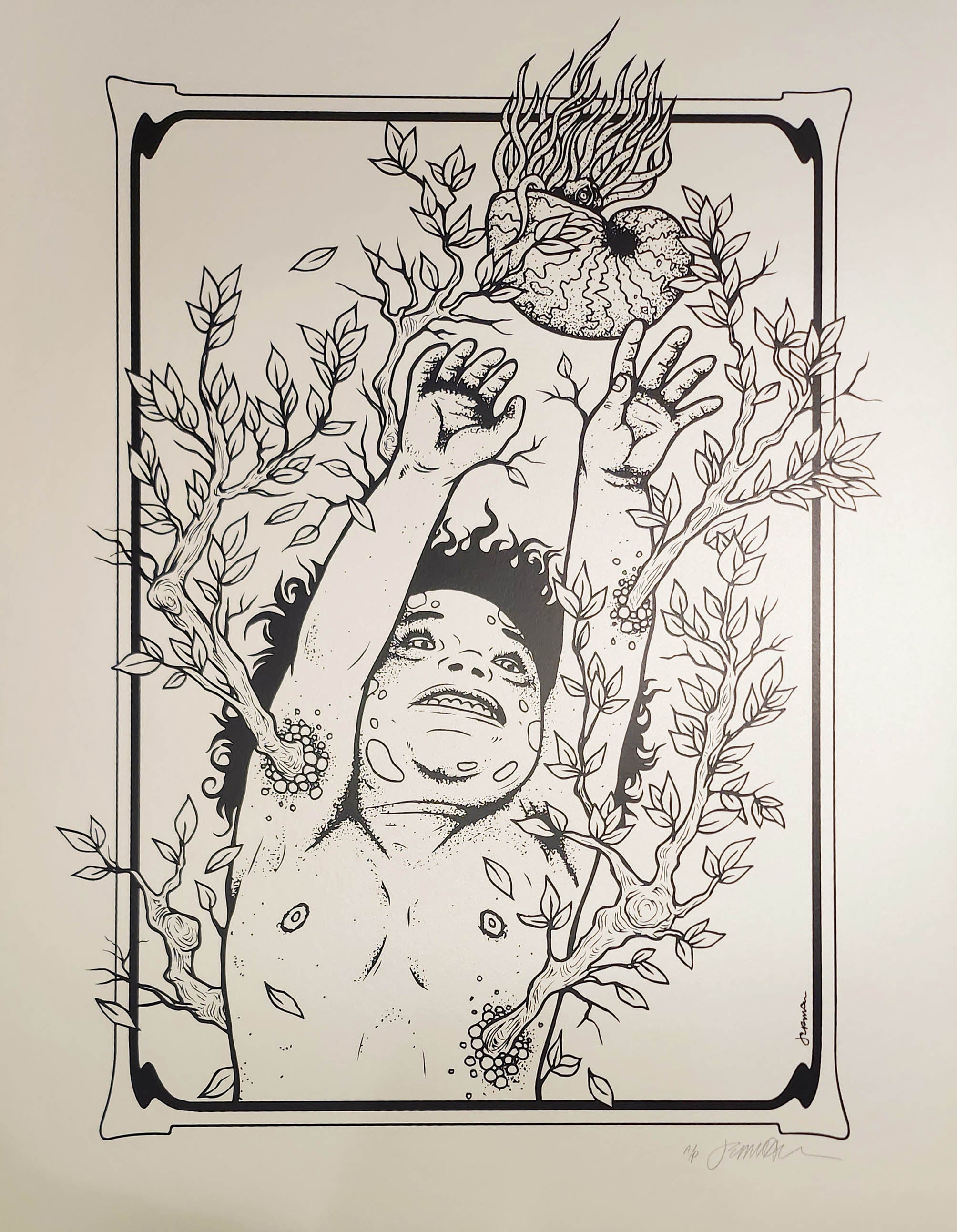 Spring - A/P - Black Keyline on Opal Stardream (Nature Child)