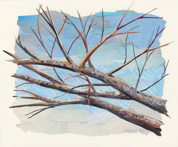 Four Seasons - Nests