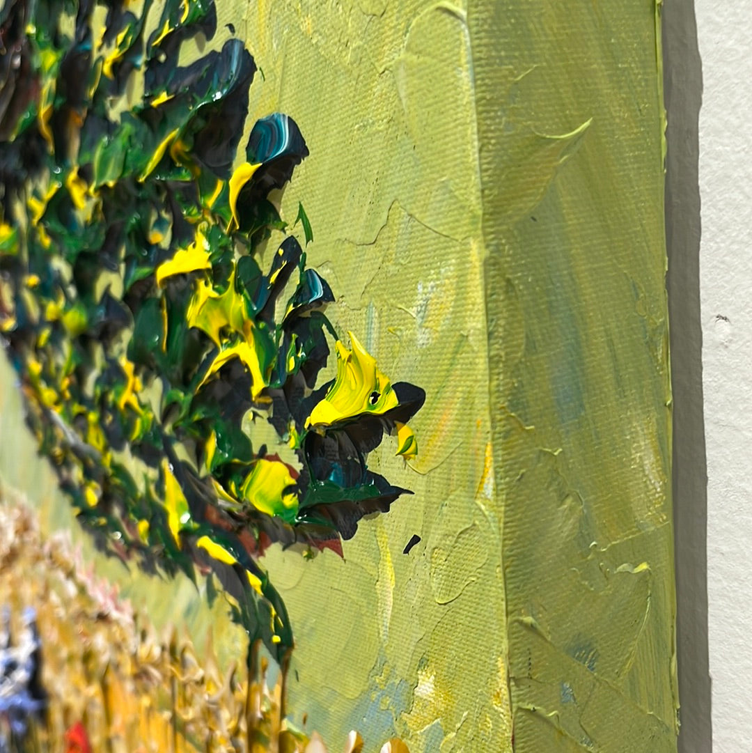 Beautiful Oak of Colors