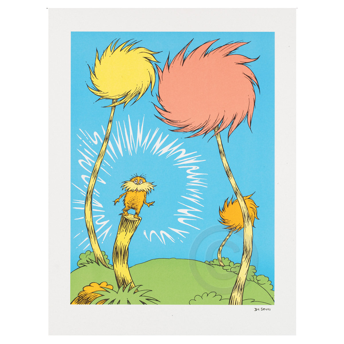 Lorax Book Cover