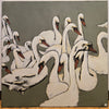The Swans of Bournemouth