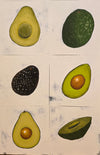 Avocado 25