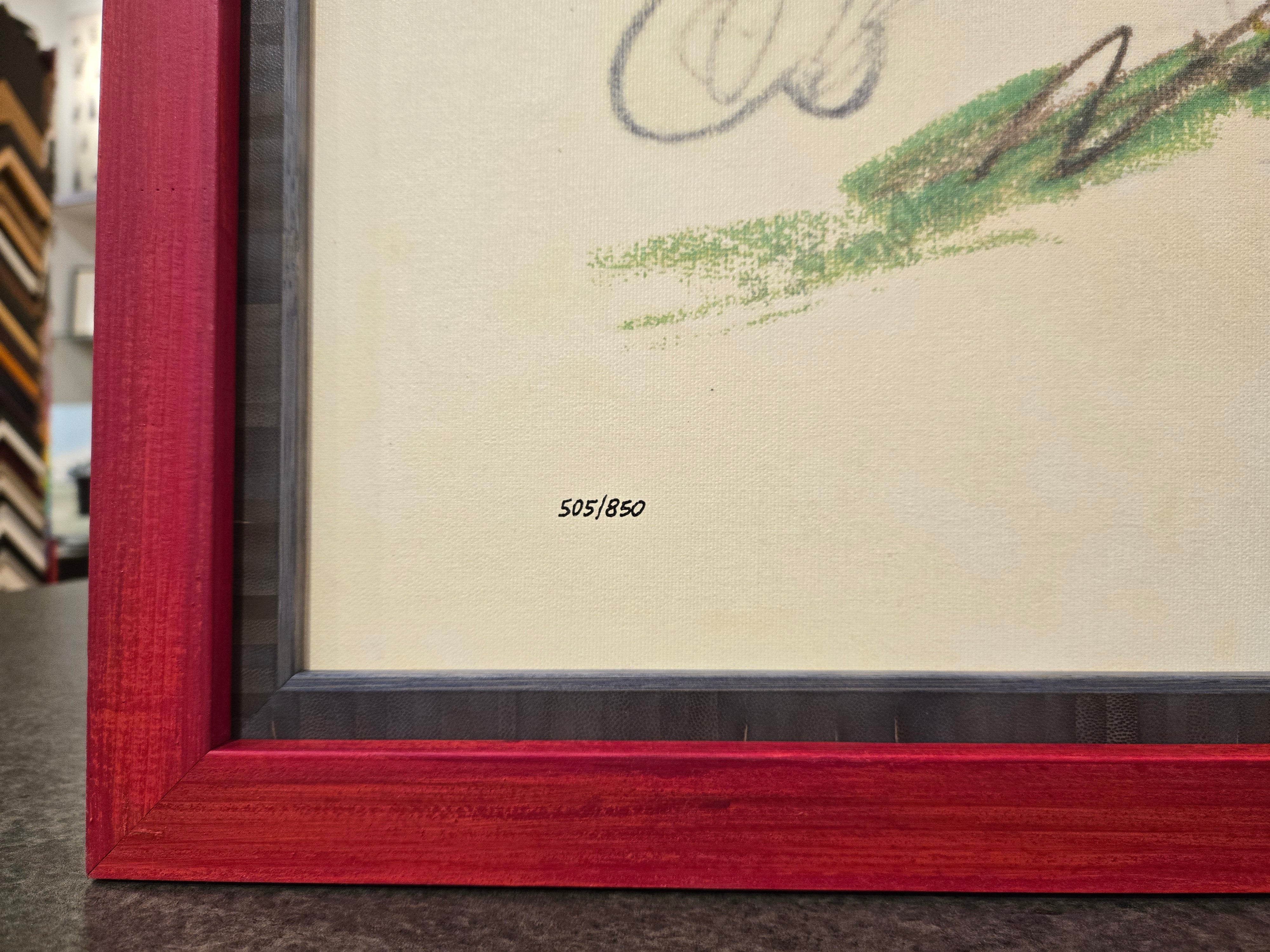 Carefree Ormie 505/850 - Framed