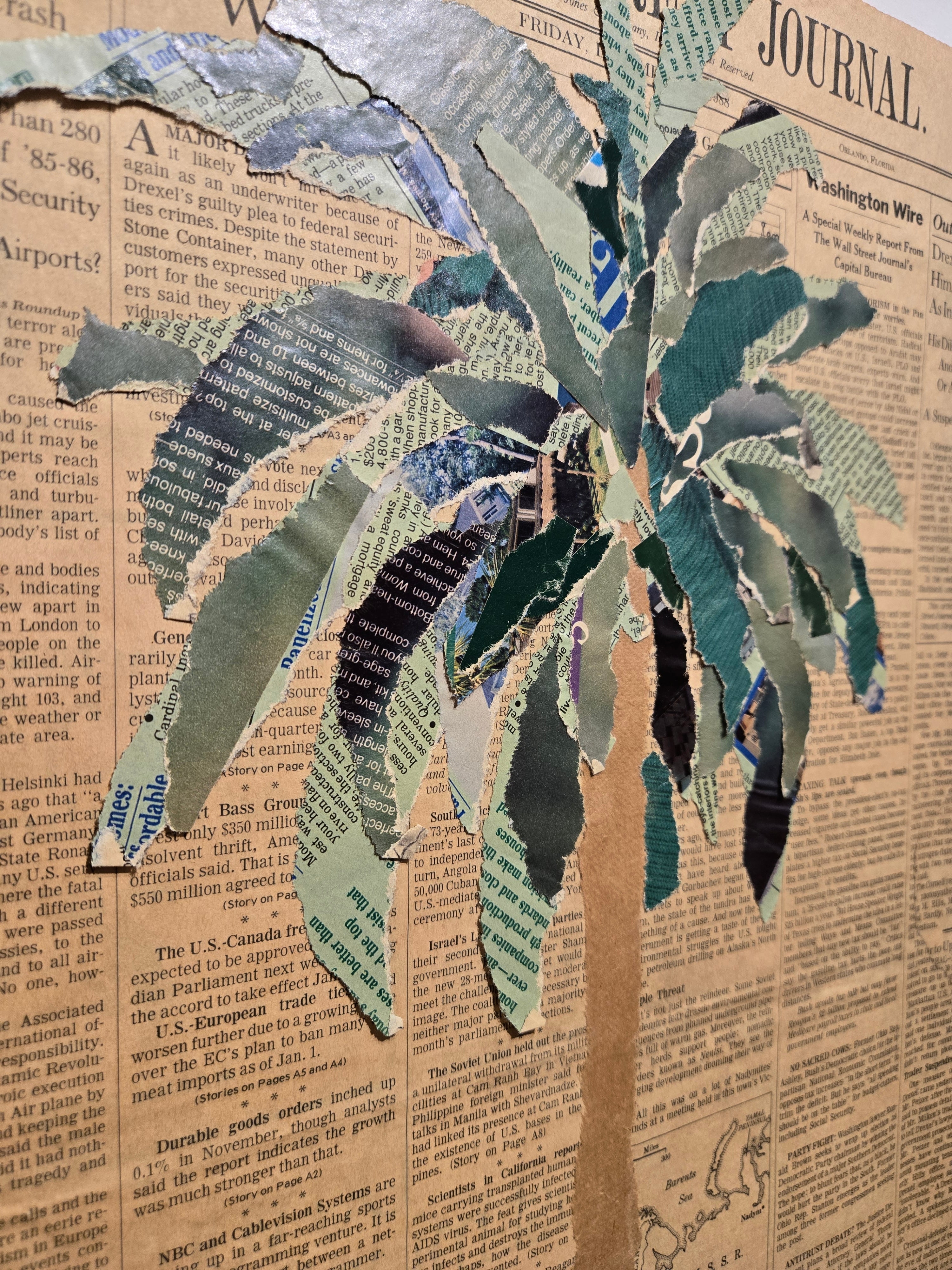 Wall Street Journal Palm