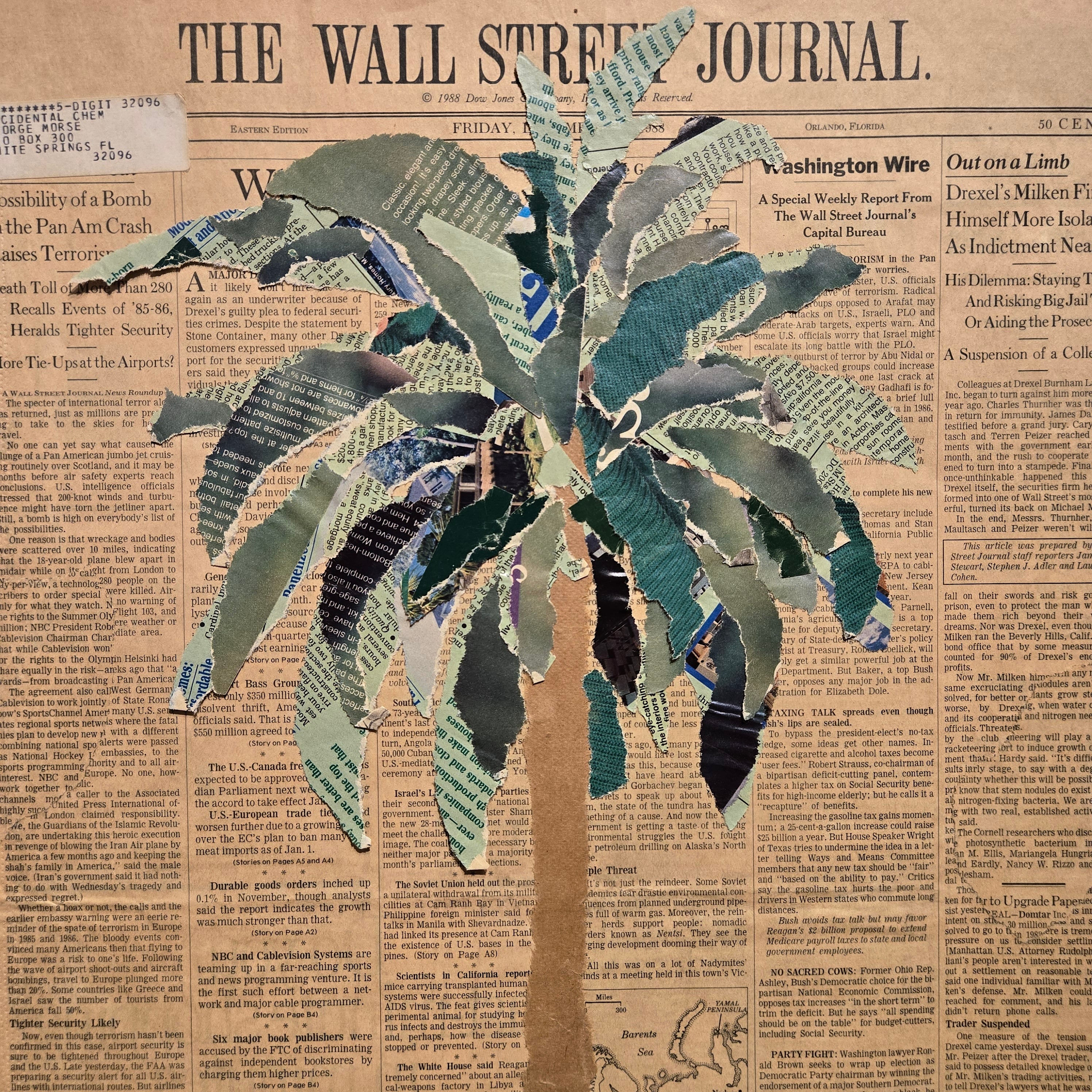 Wall Street Journal Palm