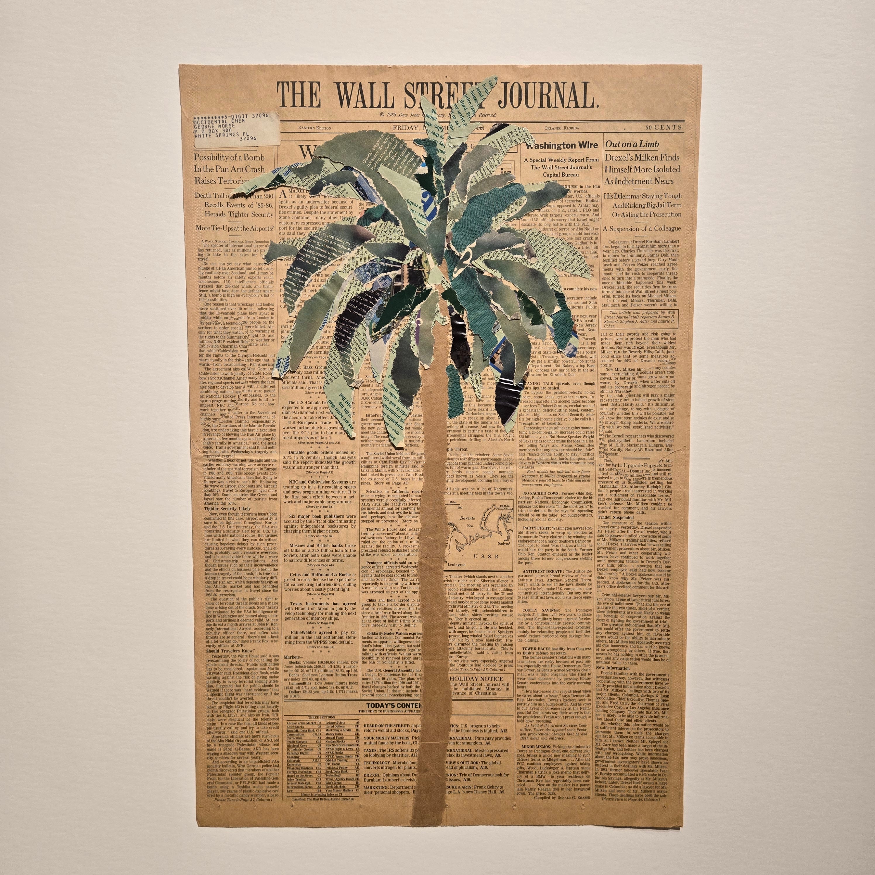 Wall Street Journal Palm