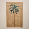 Wall Street Journal Palm