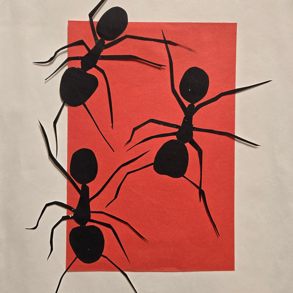 Categories on the Beauty of Physics: Work (Ants)