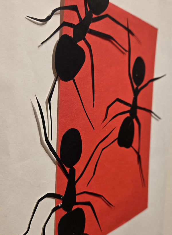 Categories on the Beauty of Physics: Work (Ants)