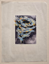Categories on the Beauty of Physics: Spin (Tornado)