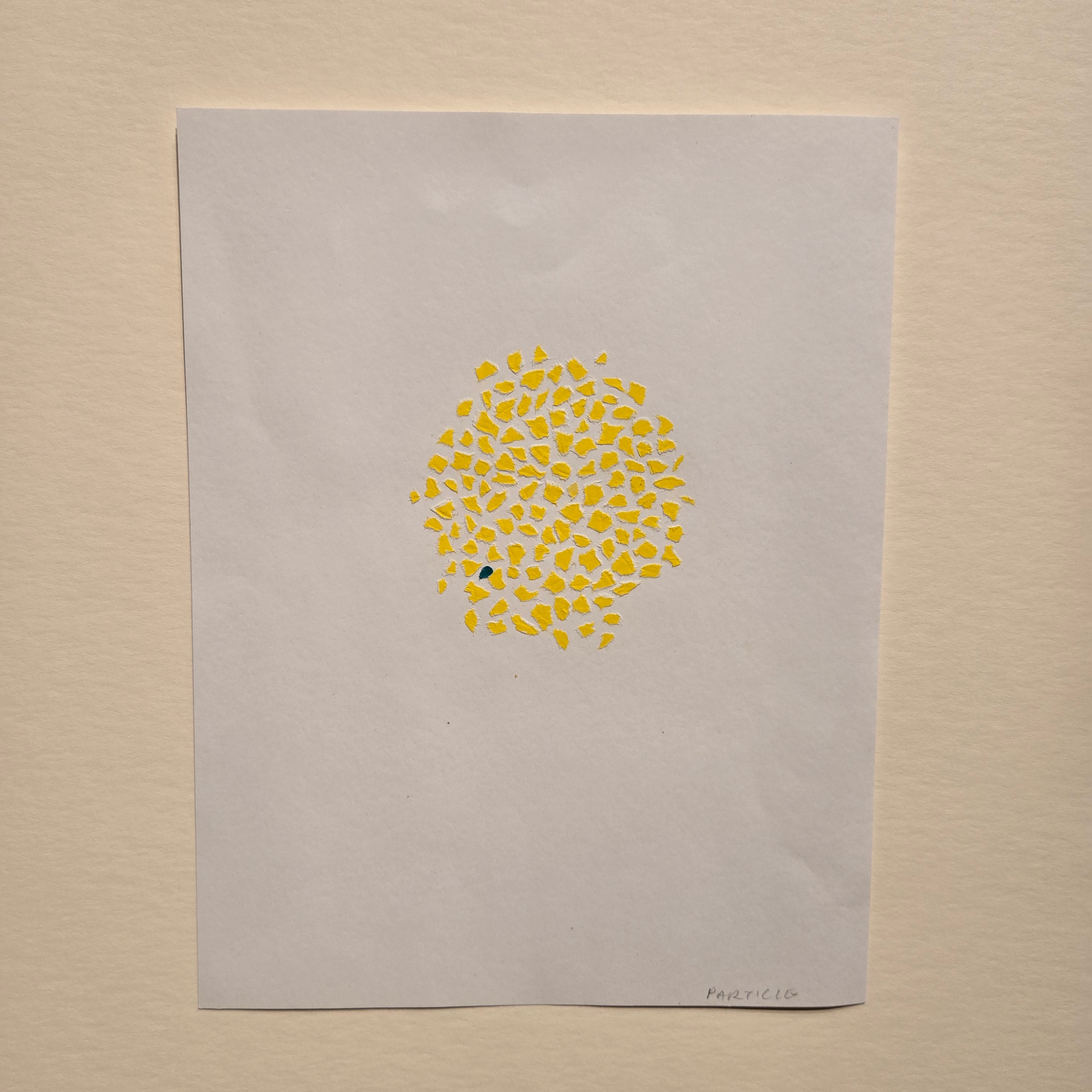 Categories on the Beauty of Physics: Particle (Dots)